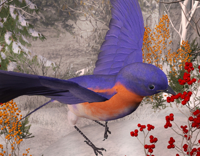 Oiseaux d'hiver1 - Winter Birds1