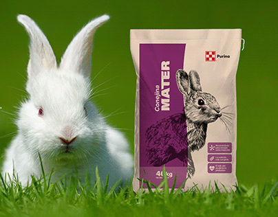 Empaque Conejos / Rabbit Package