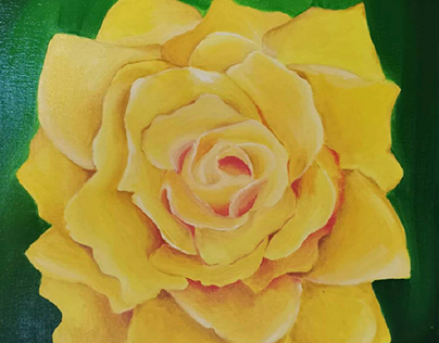 Yellow Rose - Oil on Canvas