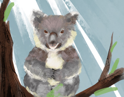 Little Koala