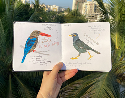 BIRDS • sketchbook