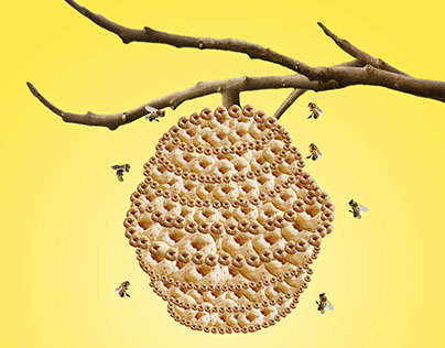 Honey Nut Cheerios Real Honey Campaign