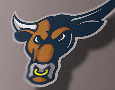 Brampton Bulls Logo Project