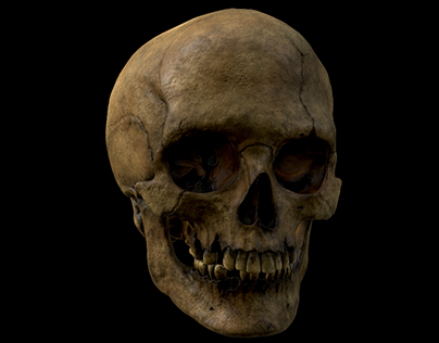 Old Skull