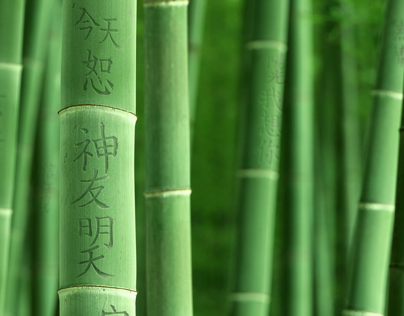 Poem  Bamboo Project