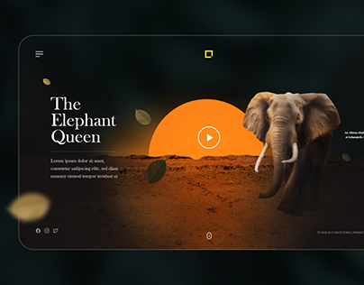 Zoo Park Landing Page | Inspired by Minh Pham