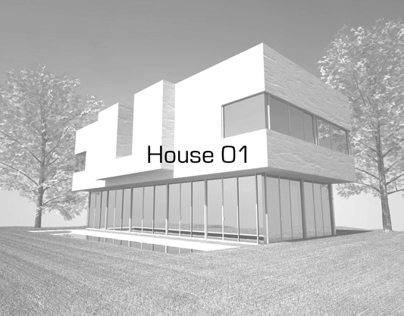 House 01