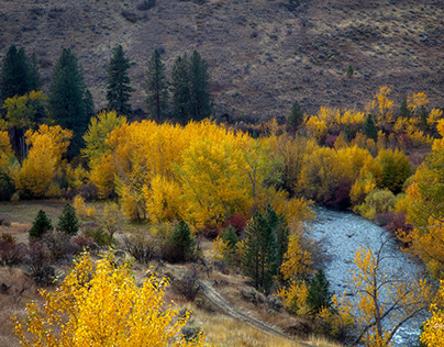 Autumn in Eagle Valley
