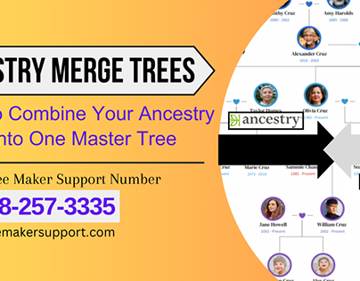 How To Combine Your Ancestry Trees Into One Master Tree