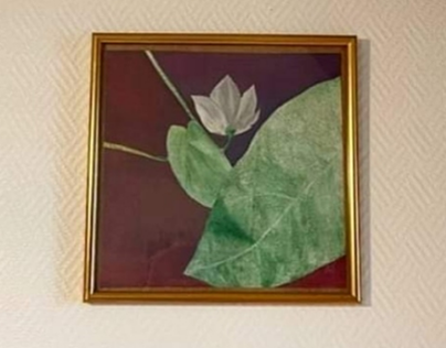 Flor de pimentón 30x30 cm