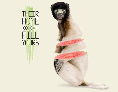 Their Home Fill Yours
—Stop Deforestation—