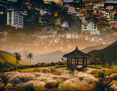 Dreamy South Korea