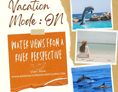 Dolphin & Manatees tours Cocoa Beach - Florida