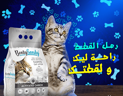 Designing social media ads, accessories and cat food