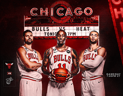 Chicago Bulls Commissioned Work - WHM Designer