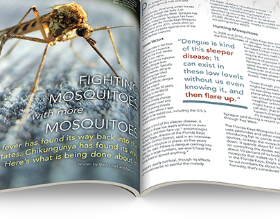 Feature Article: Fighting Mosquitoes