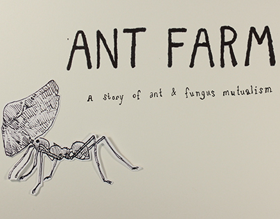 Ant Farm: a story of ant & fungus mutualism