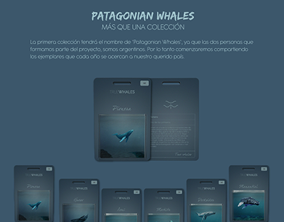Patagonian Whales, NFT Project
