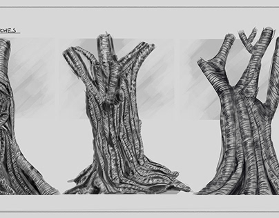 Tree Bark (Sketches)