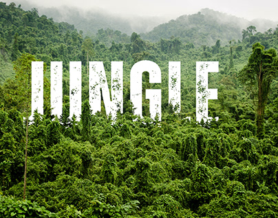 Jungle | Typography | Text Effect