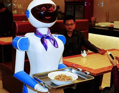 Hotel Service Robot: Enhancing the Guest Experience