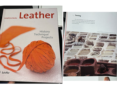 Unit2-36 Leather research