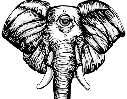 The Seeing Eye Elephant