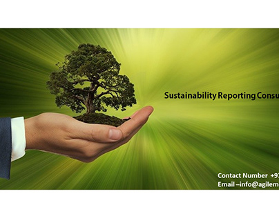 Sustainability Reporting Consultancy