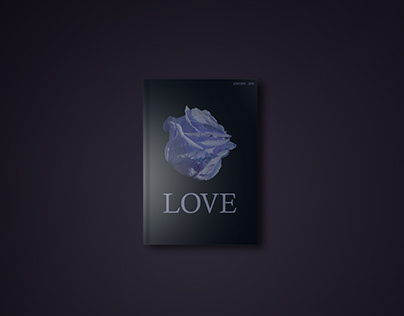love book cover