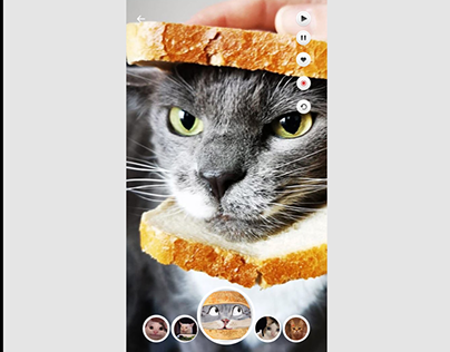 Product Design Digital Mobile app TailTale(GPS for cat)