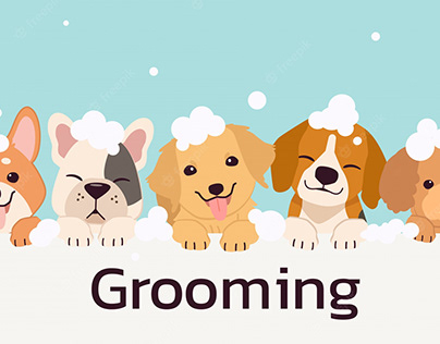 Importance of Pet Grooming and Training