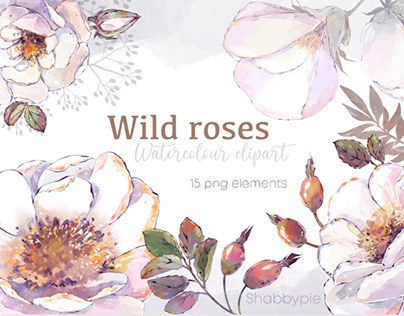 Wild roses. Watercolour Clipart