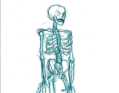 Drawings of the human skeleton