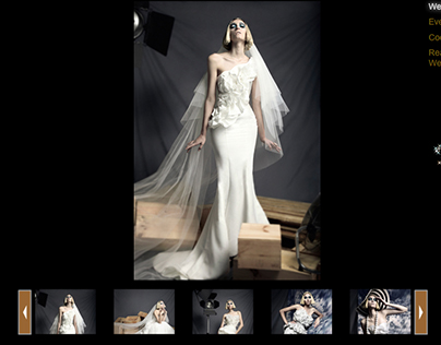 Vaughn Tan's wedding bridal website