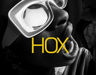 Project thumbnail - HOX brand