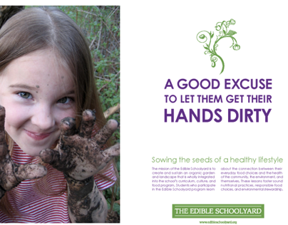 The Edible Schoolyard, Campaign