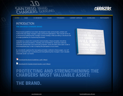 San Diego Chargers Online Brand Guide