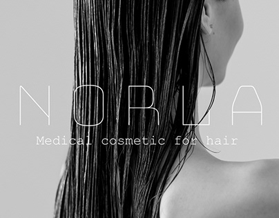 NORLA | разработка фирменного стиля | логотип