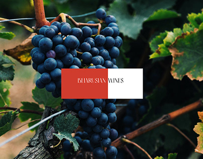 website design belarusian wines