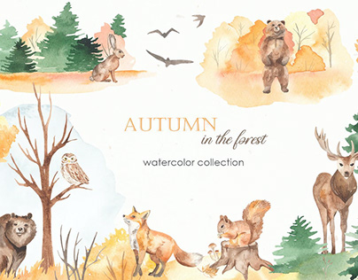 Autumn in the forest Watercolor collection