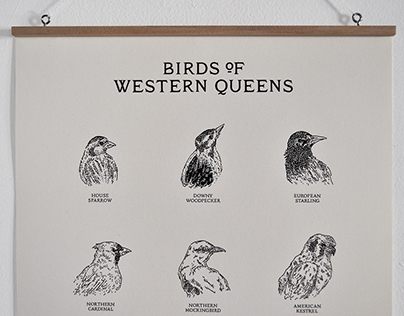 Birds of Western Queens Wall Chart
