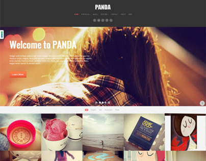 Panda, WordPress Premium Portfolio Magazine Theme