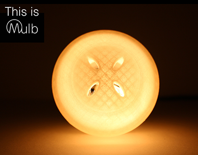 Mulb. The Modular Light Bulb.