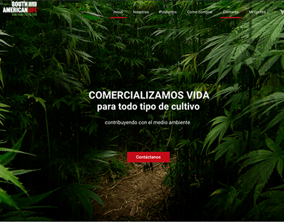 Diseño web South American Life