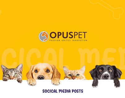 Project thumbnail - Opus Pet Social media Posts