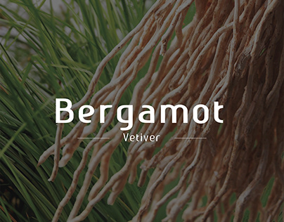 Bergamot Essential Oil Benefits