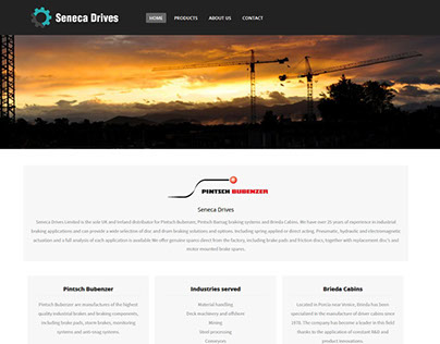 Bit Designs - Seneca Drives - Logo & Website Design