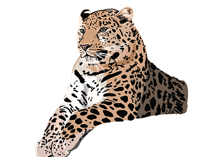 Amur leopard drawing