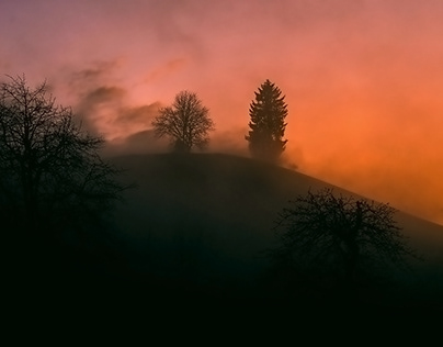 Fog and sunset