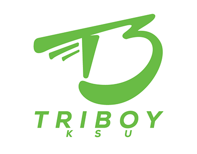 Triathlon logotype for Triboy